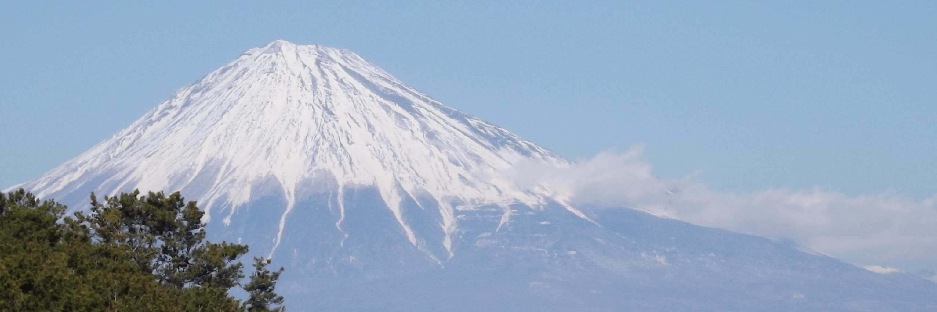 naturebea's profile banner image