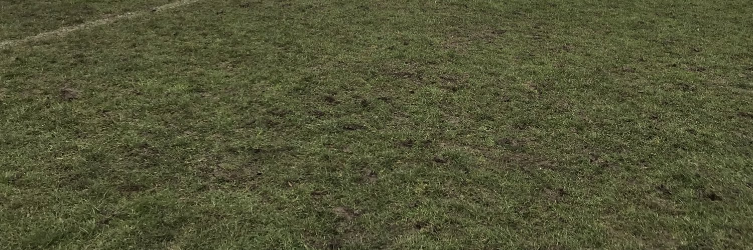 Weybridge Vandals RFC Minis&Juniors banner