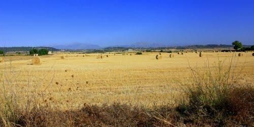 AmoJaume's profile banner image