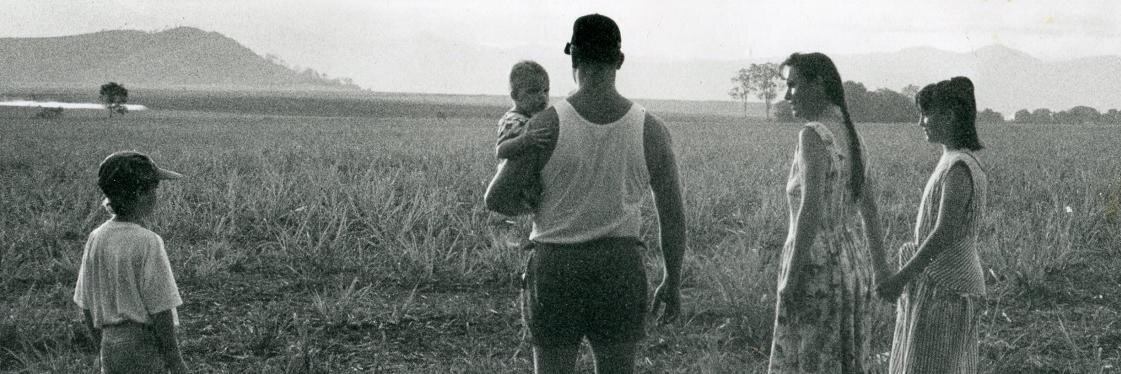 Dianne Gray - author banner