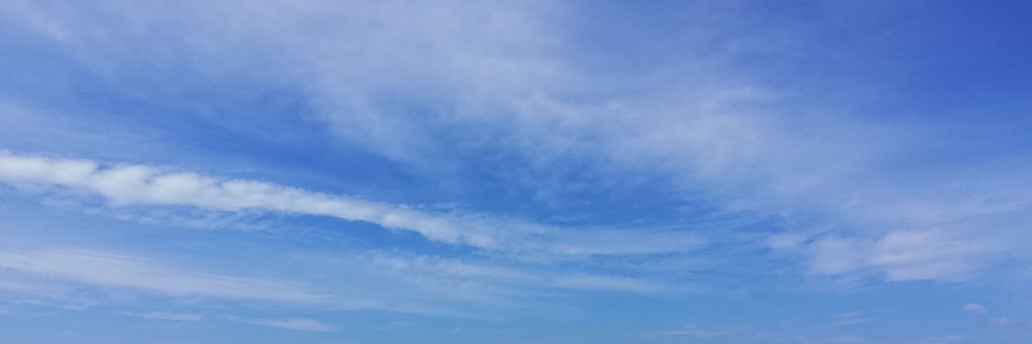ErlynFuentes's profile banner image