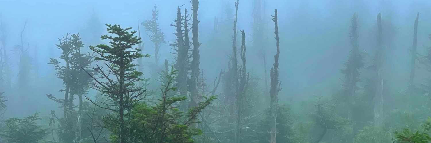 Emmanuel Marchand banner