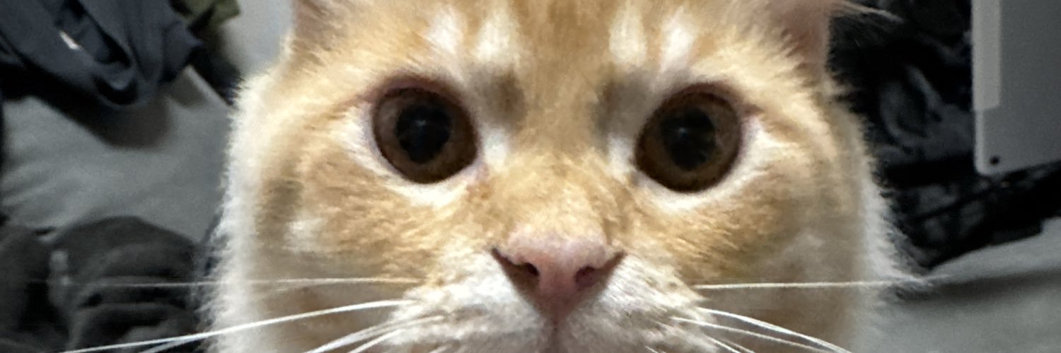 朔夜※孫が可愛くて仕方ない症候群✨ banner