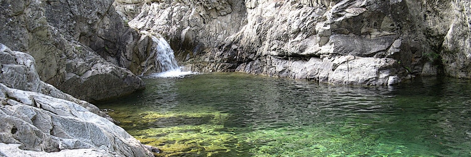 Pierrick Filippi banner