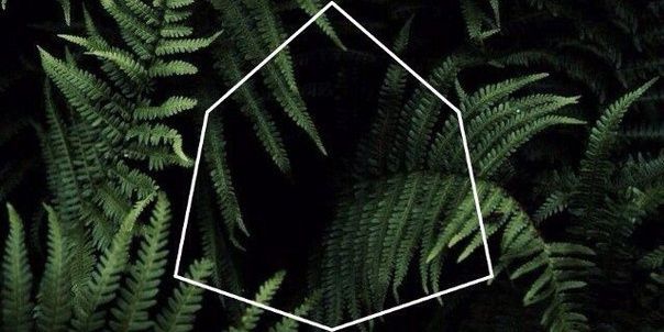 vikadep_01's profile banner image