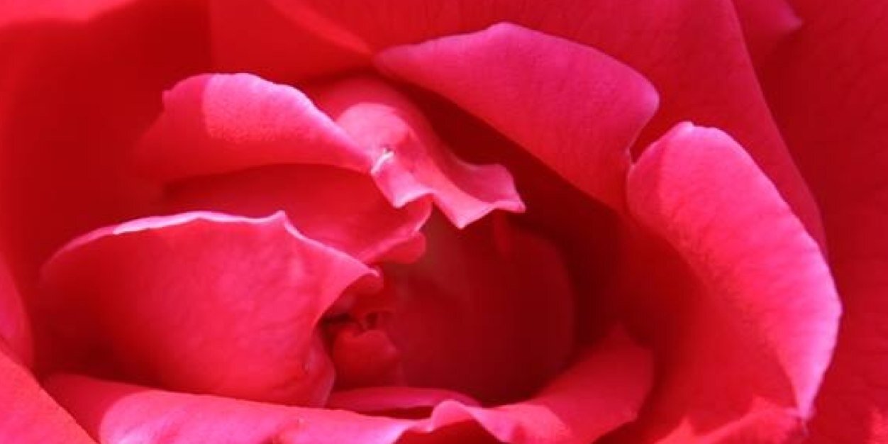 mmbbw5's profile banner image