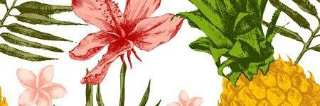 diasbp70's profile banner image