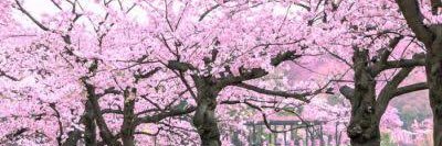 Helen Deering banner