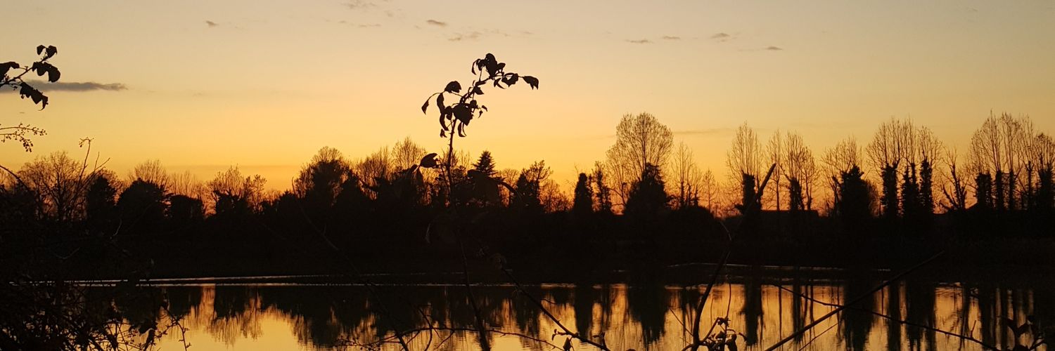 tambumarco97's profile banner image