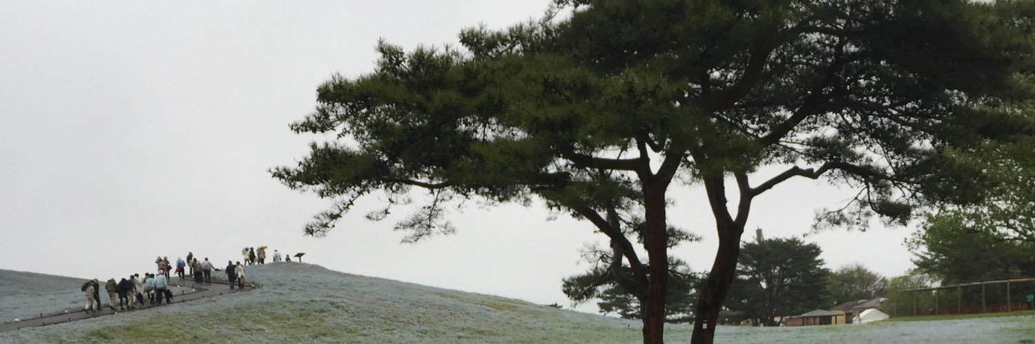 chobichobi24's profile banner image