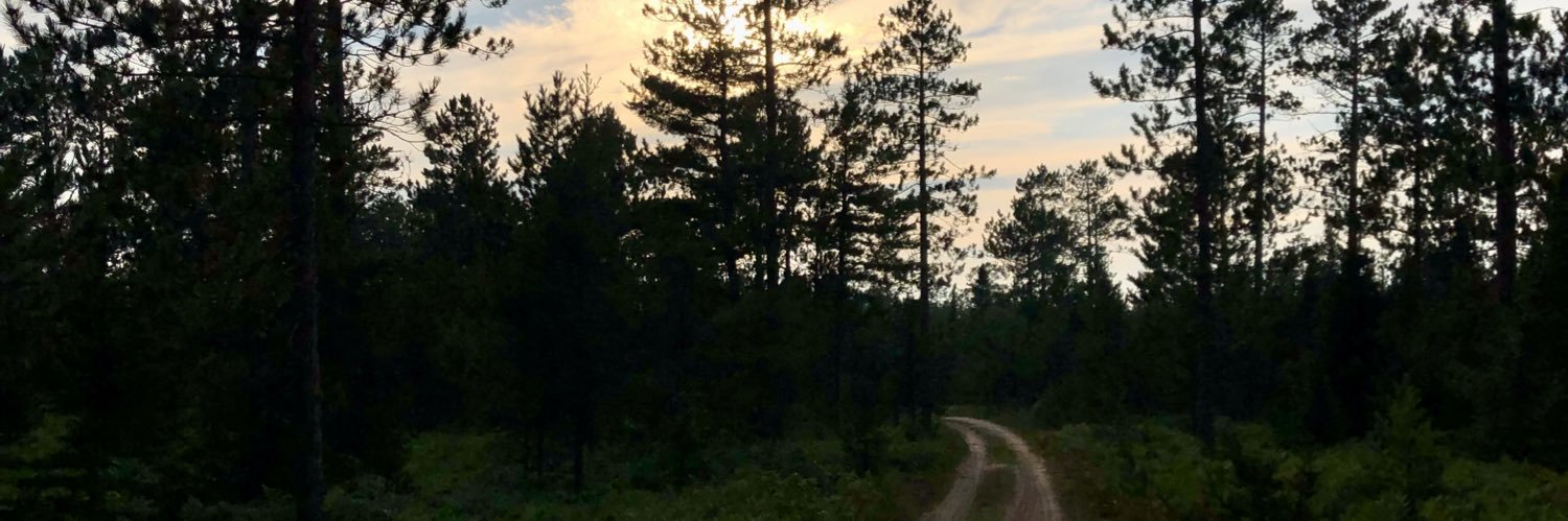 kyleehoye's profile banner image