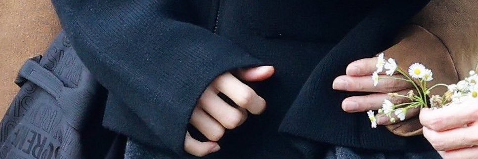 🌻🍑 banner