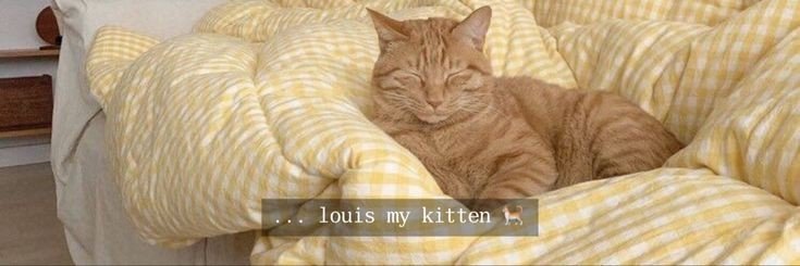 harryisartz's profile banner image