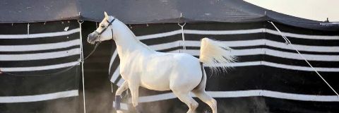 smooo509's profile banner image