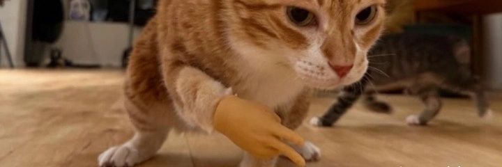 JaimeLoga97's profile banner image