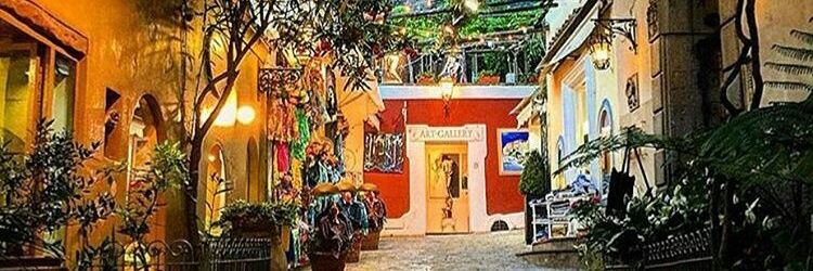 🌺🌺🌺🌜🌼🌼🌼 banner