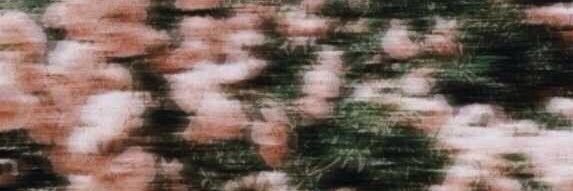 Miss bad temper banner