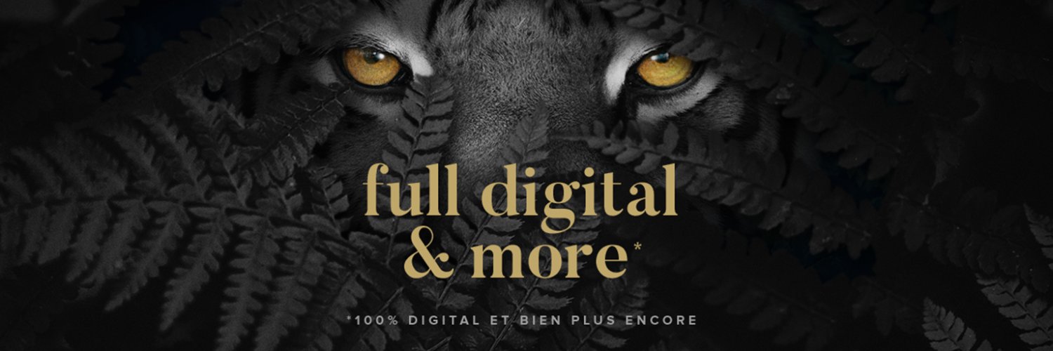 🦁 La Jungle Design banner