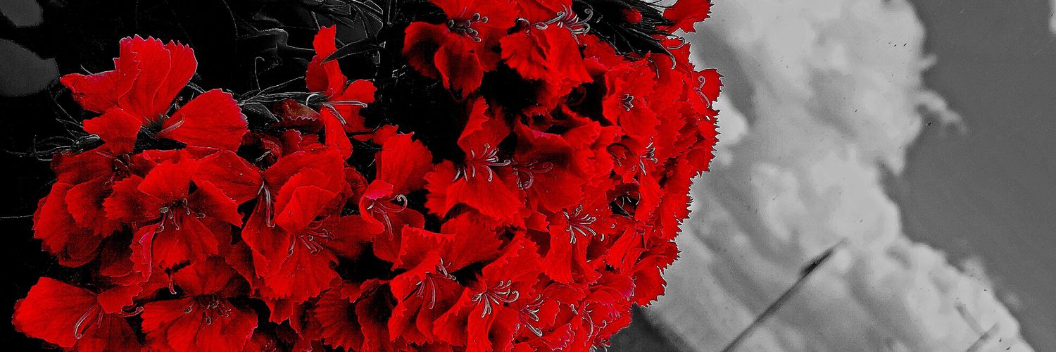 hlmnsr's profile banner image