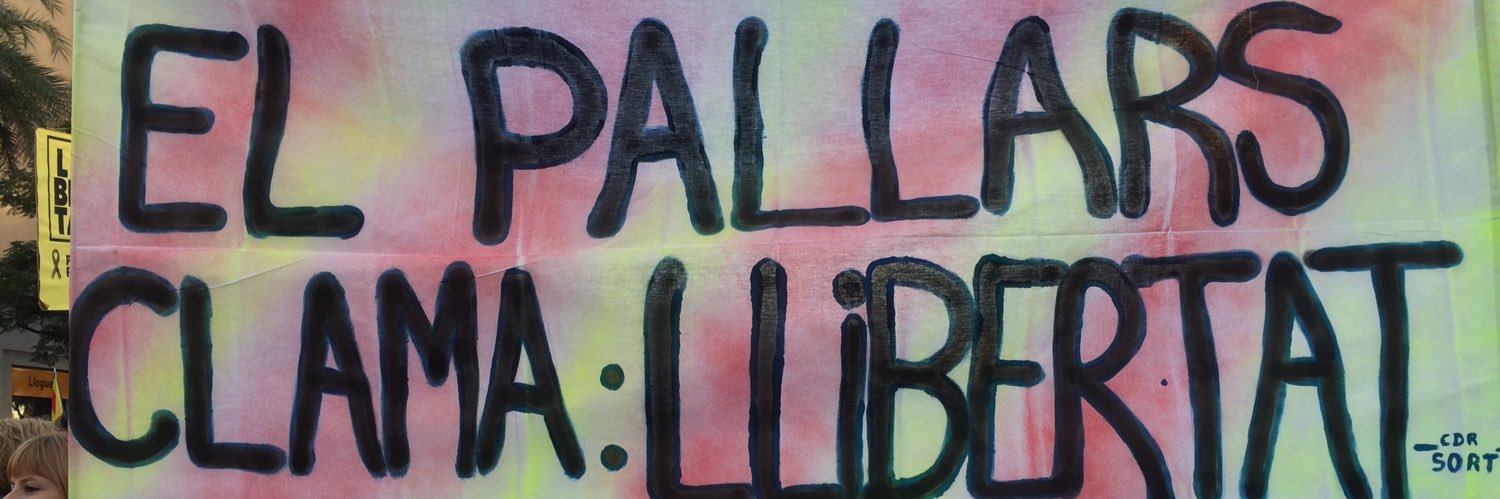 Carmina Castellví banner