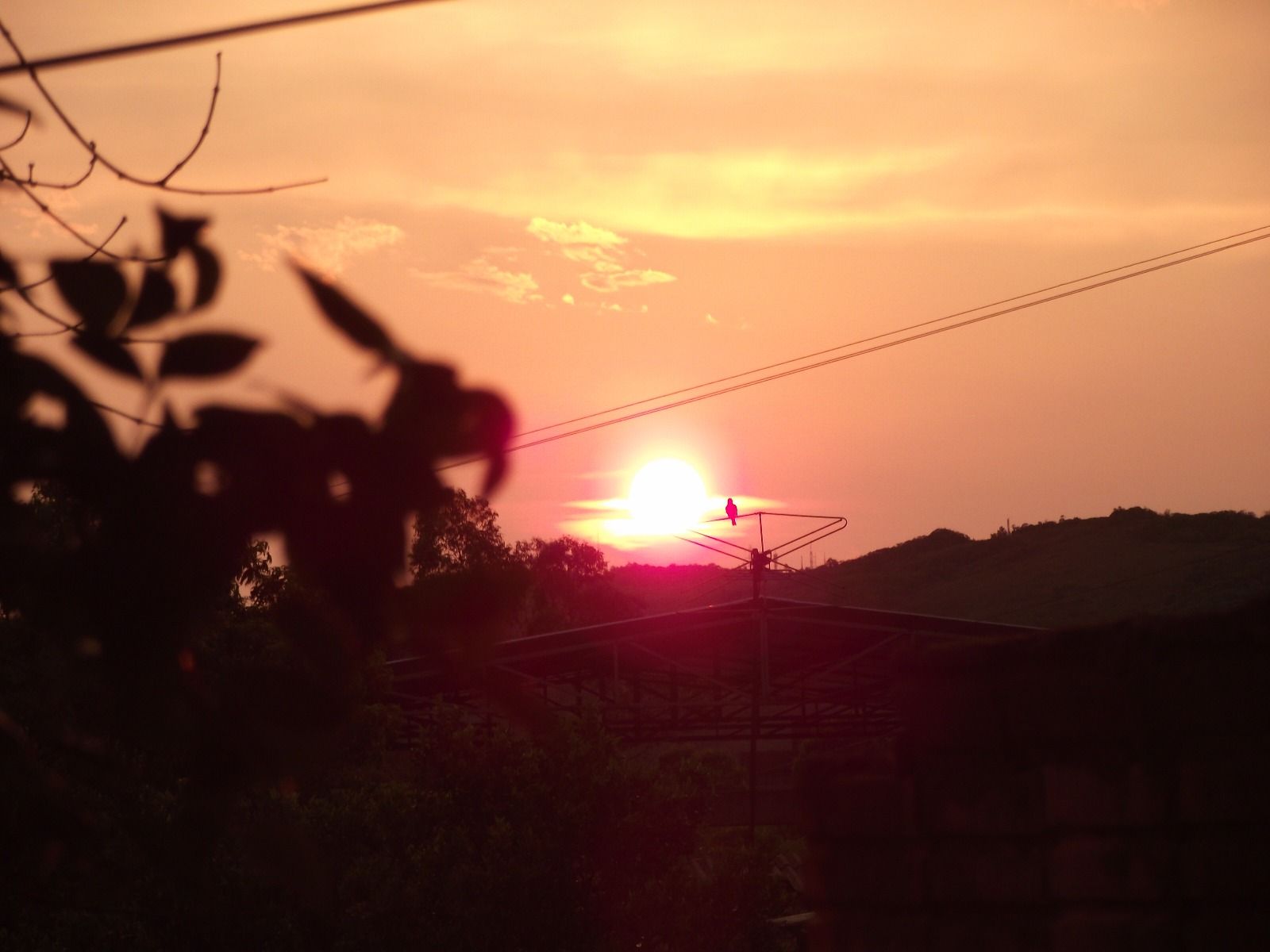 Bagdani_'s profile banner image