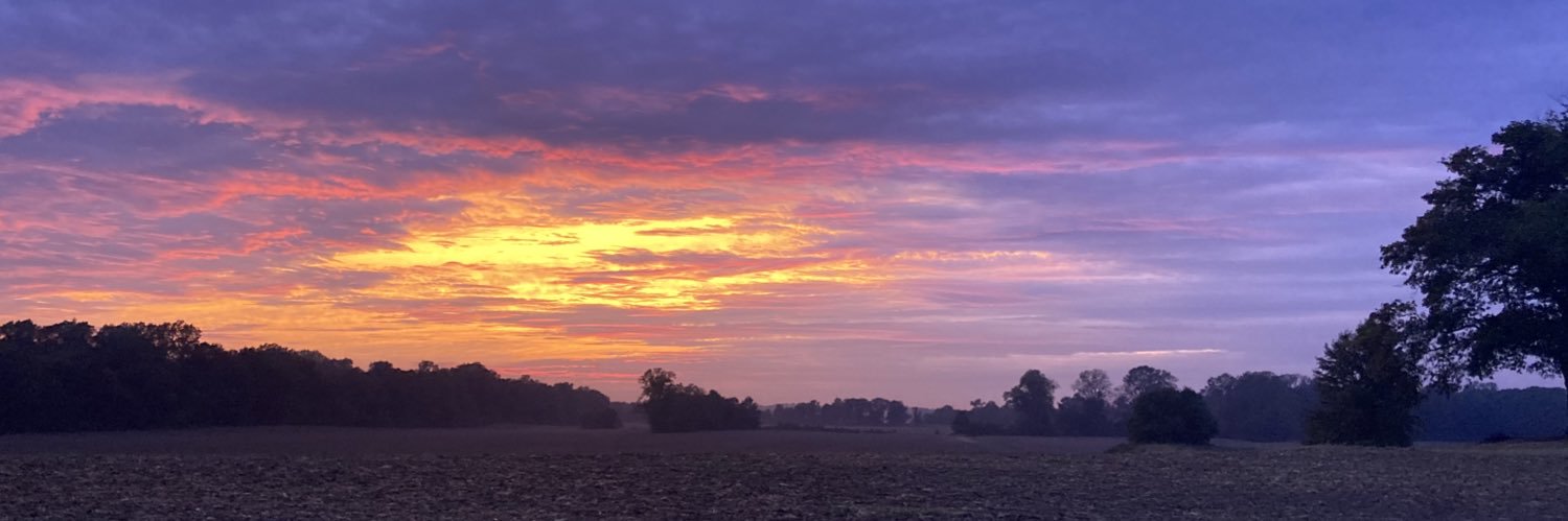 MattyLite5's profile banner image