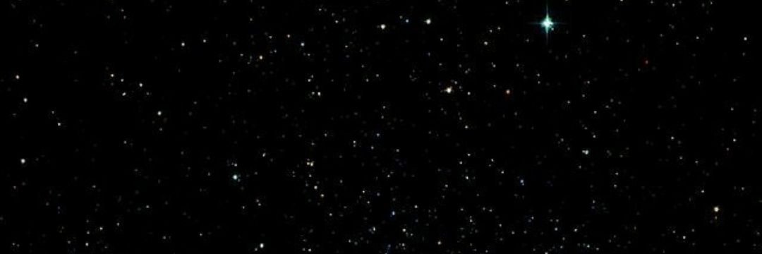 martina_fern's profile banner image