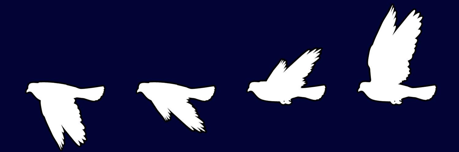 flyingtides's profile banner image