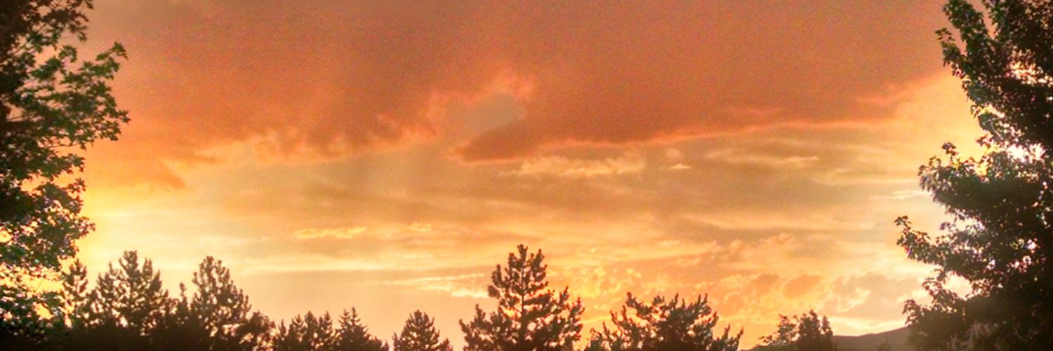 vickiemusni's profile banner image