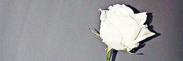 R51_90's profile banner image