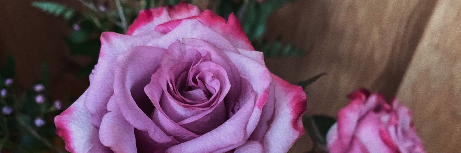 bennettelise's profile banner image