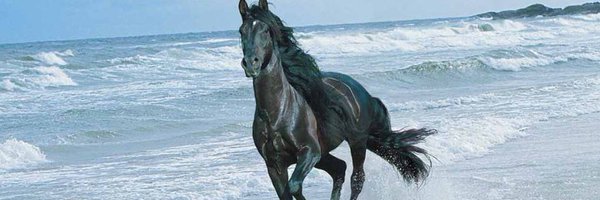 Adhamy111 Profile Banner