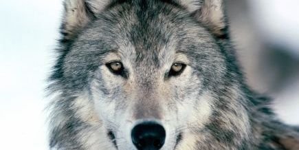 Reb_Flynn's profile banner image