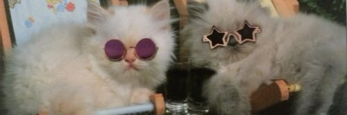 jrprusinski's profile banner image