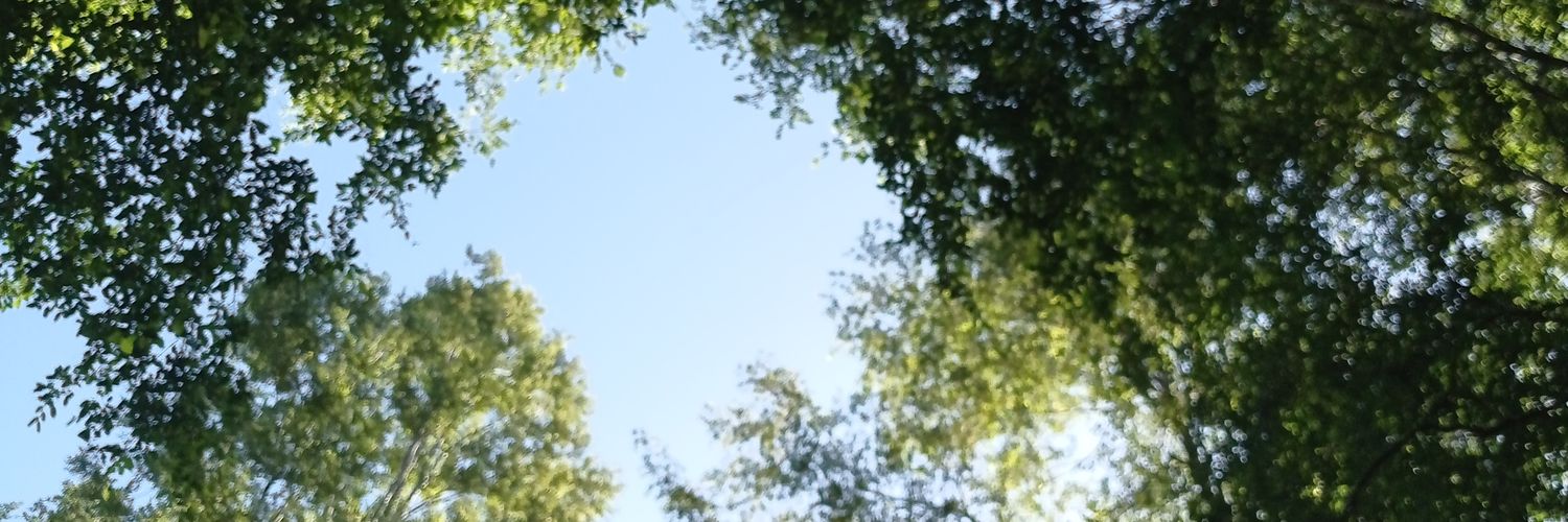 Leahsue2808's profile banner image