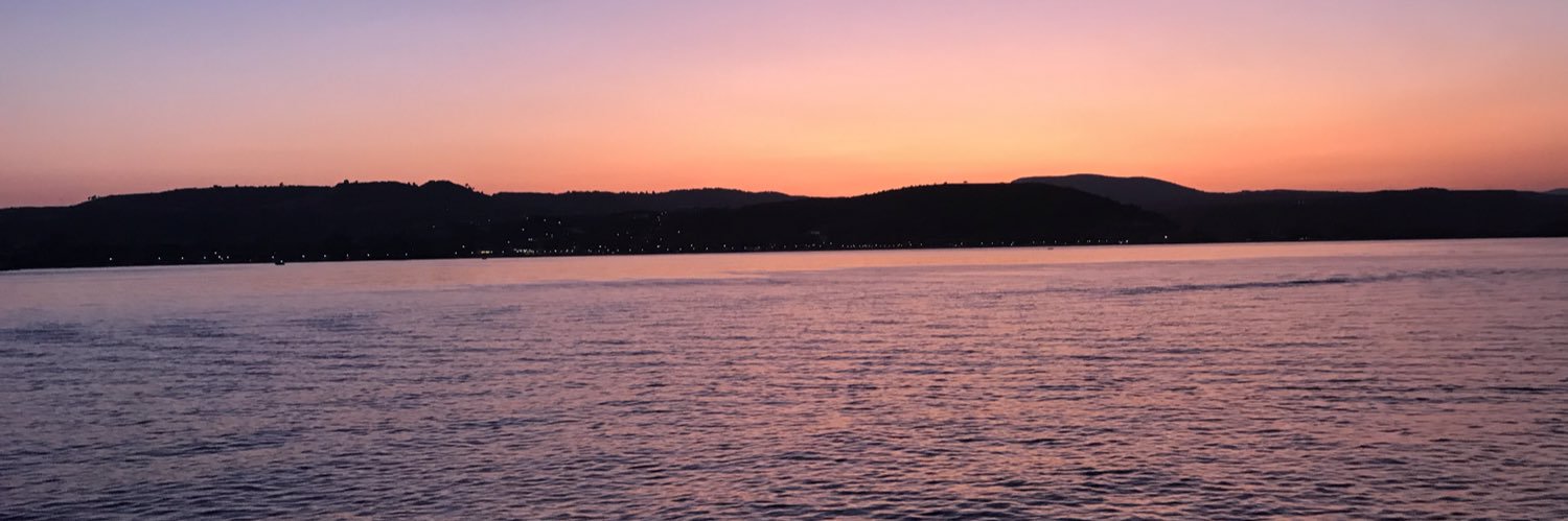 saskinee's profile banner image