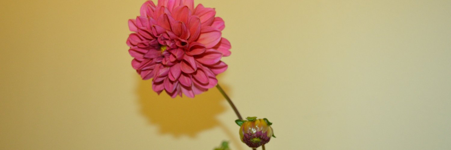 peat99's profile banner image