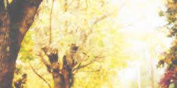 RahartAdams_RD's profile banner image