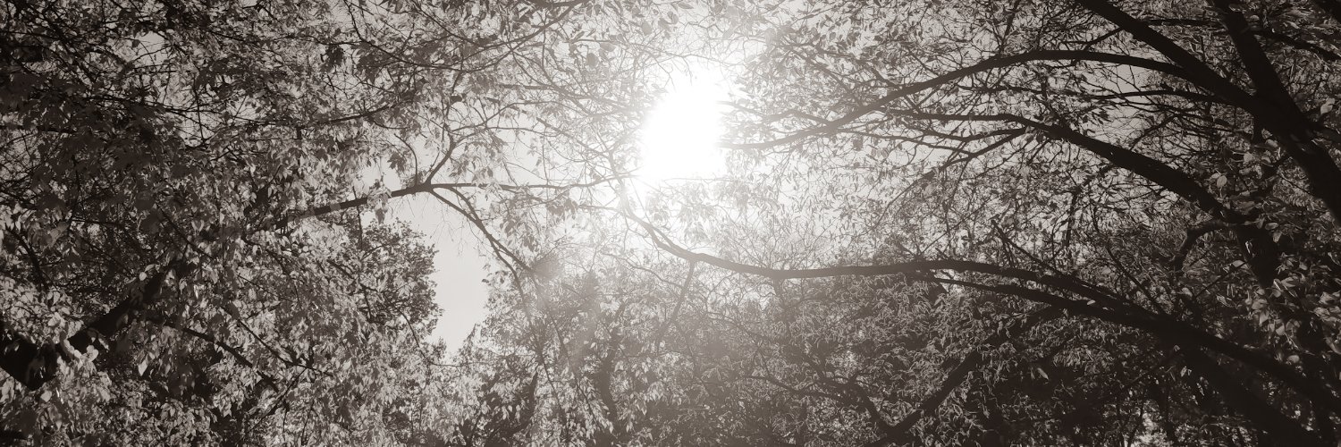 Pie_JBVH's profile banner image