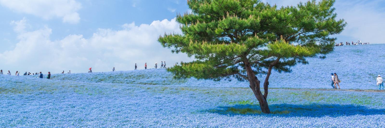hirox410's profile banner image