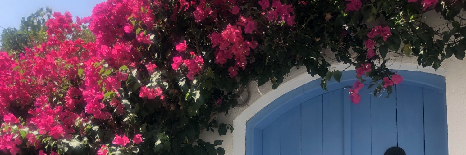 emparaskevas's profile banner image