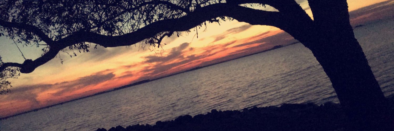 madissonhoward's profile banner image