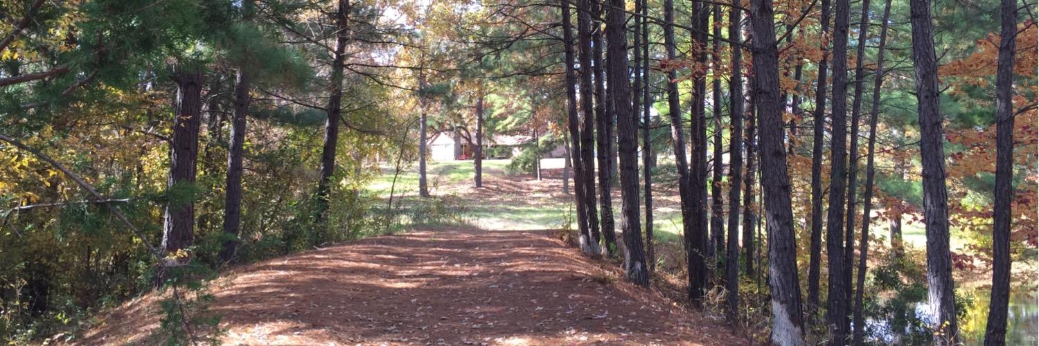 Michelle Shilling banner