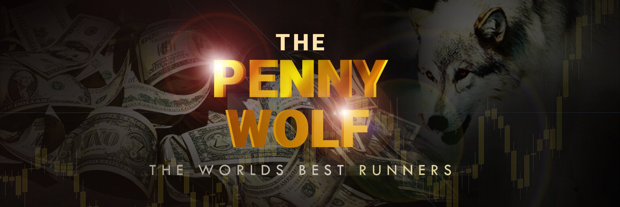 THEPENNYWOLF's profile banner image