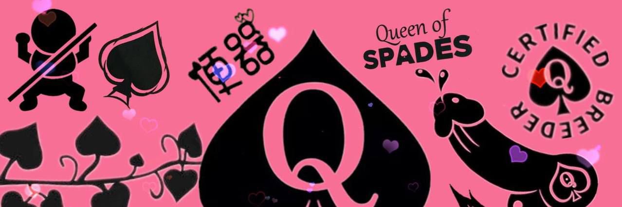 Queen0fspade_'s profile banner image