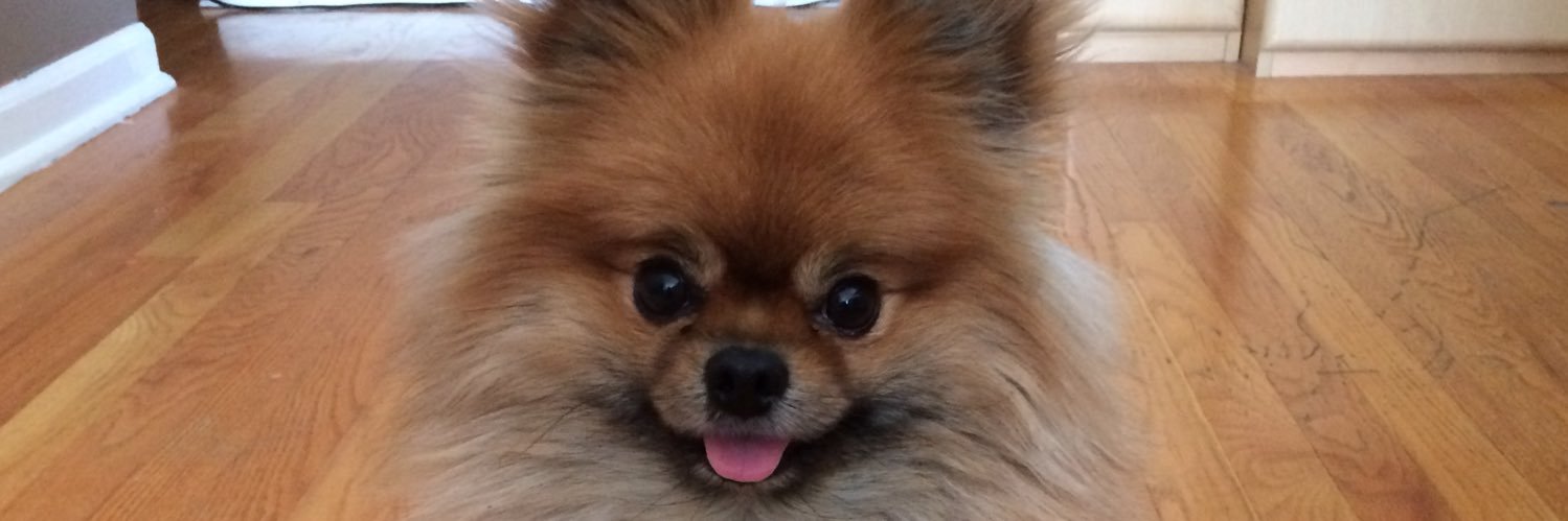 dez banner