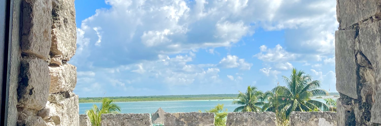 marijonoverolar's profile banner image