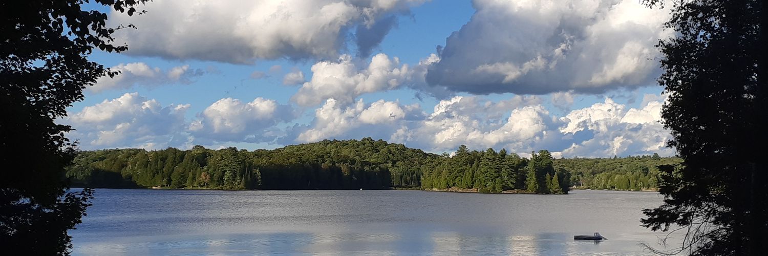 Lorircollie's profile banner image