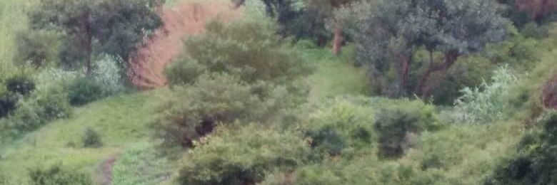 ayaseer1995's profile banner image