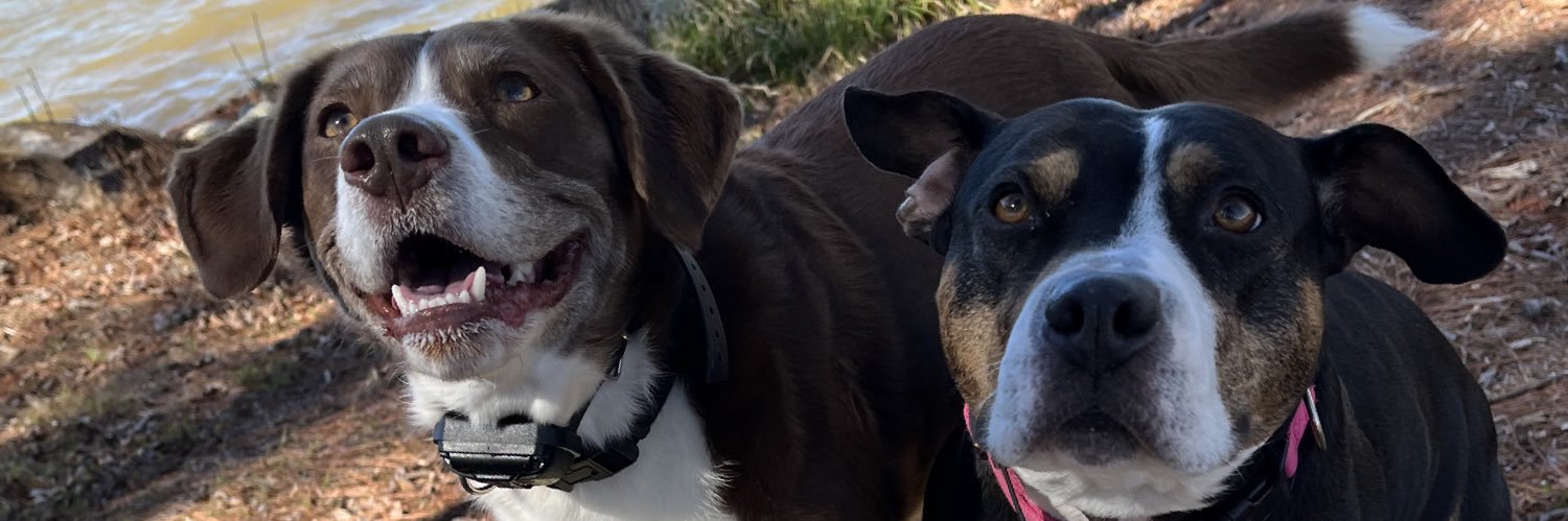 catiedman's profile banner image